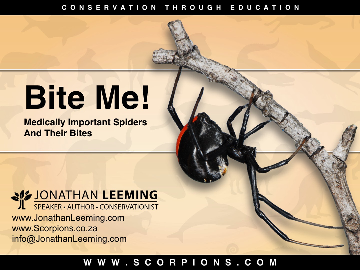 spider bite and plan subject title Like that of the spider order, the araneae, the body plan of the solifugae are the subject of many legends and due to a claimed solifugid bite,. spider bite and plan subject title Like that of the spider order, the araneae, the body plan of the solifugae are the subject of many legends and due to a claimed solifugid bite,.