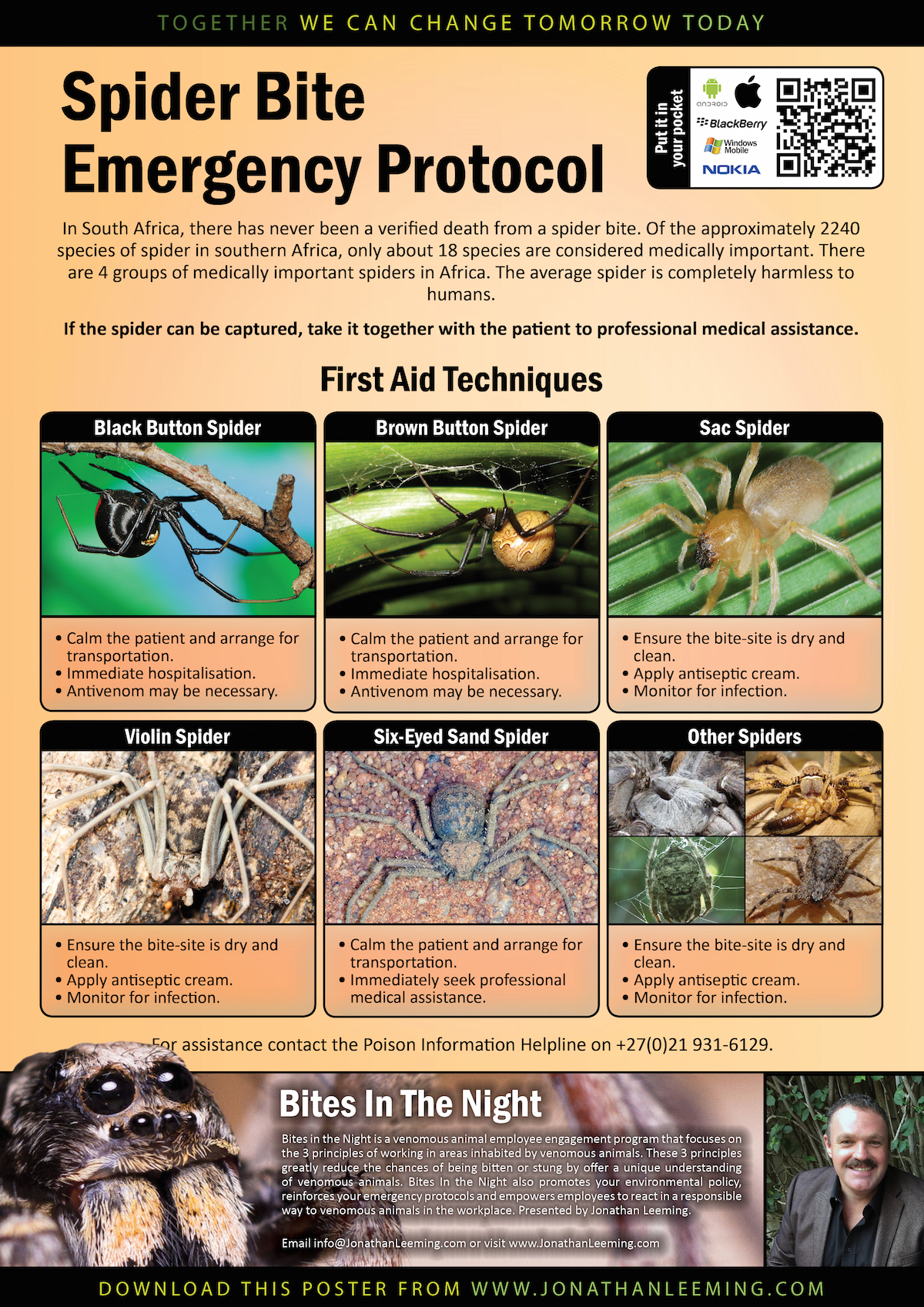Your Dog'S Ant Bite Emergency: Pictures & Immediate Action - bsixy4k